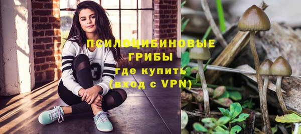 дмт Армянск