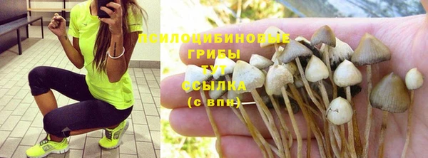 амфетамин Арсеньев